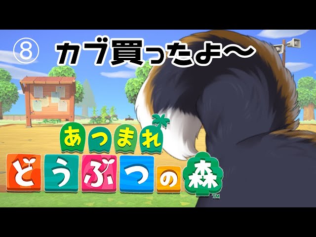 【あつ森】日曜日もまったりあつ森　8日目【にじさんじ/黒井しば】のサムネイル