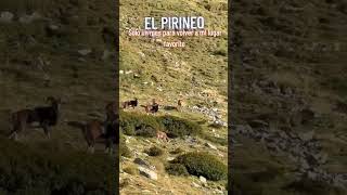 Tras mi SADI-S, en un mes regreso al Pirineo con @TrackLander @javierbaztan @JAMES-AVENTURAS