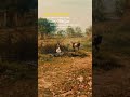#tamtrang #sad #cuocsong Sống chậm