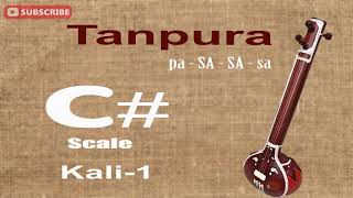 Tanpura C# Scale | Kali 1 | Tanpura | Big Banyan Tree screenshot 5