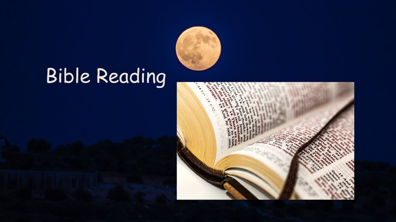 Чтение Библии: Бытие 43-44; Псалом 24; Послание к Галатам 1.