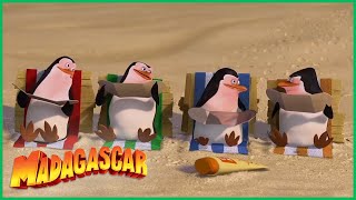 DreamWorks Madagascar | Melhor dos Pinguins | Madagascar