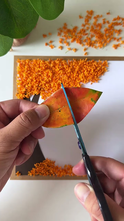 The osmanthus flowers bloom downstairs. Collect some beautiful leaves paintings for children. Ha