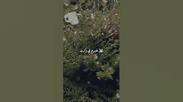 اينسى القلب إنسانا بصوت المنشد محمد أبو شعيرة اكسبلور تصميمي 