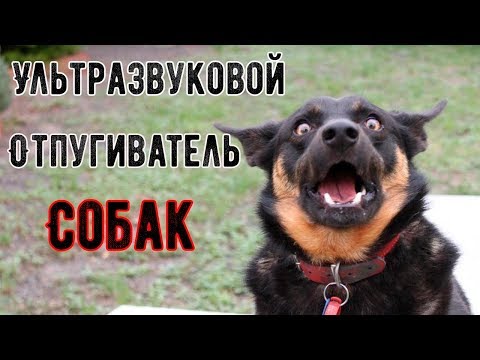 Отпугиватель собак ультразвуковой