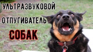 Отпугиватель собак ультразвуковой СОБАКИ В ШОКЕ! Отпугиватель собак ультразвуковой СОБАКИ В ШОКЕ!