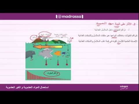 اثار التلوث على الصحة والبيئة والاقتصاد