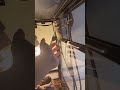 ペットが脱走してしまいました…