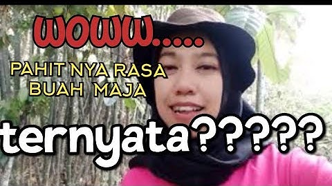 Wowww, Kerajaan Majapahit mengambil nama dari buah ini