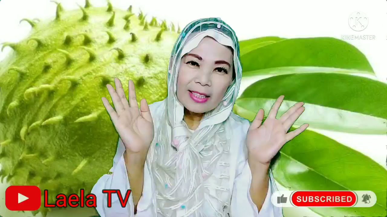 obat herbal untuk penyakit ambeien/wasir