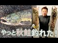 秋鮭釣り 伊達登別方面 スプーンタコベイト餌サーフ釣り 美味い鮭料理2019年9月22,24,25日Salmon fishing around Date town,Hokkaido,Japan