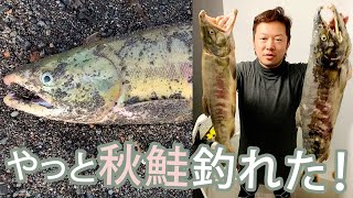 秋鮭釣り 伊達登別方面 スプーンタコベイト餌サーフ釣り 美味い鮭料理2019年9月22,24,25日Salmon fishing around Date town,Hokkaido,Japan