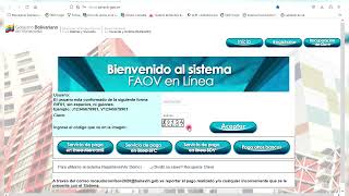 Amigo Empleador, Carga de Deuda en el Sistema FAOV en Línea.