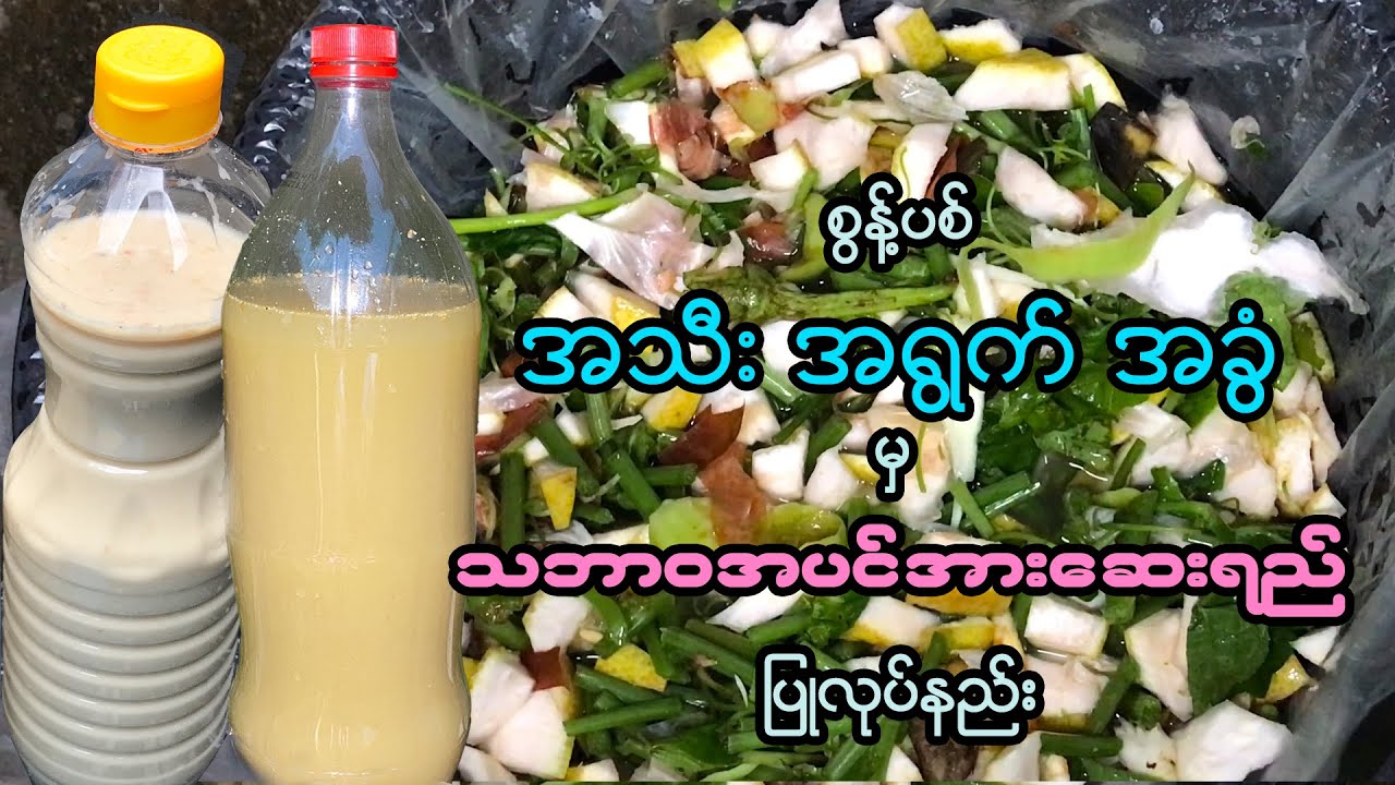 စွန့်ပစ်အသီးအရွက်အခွံများမှ သဘာ၀အပင်အားဆေးရည်ပြုလုပ်နည်း