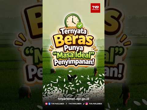 Ternyata Beras Punya "Masa Ideal" Penyimpanan!