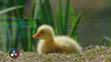 RGB split transition l Davinci Resolve 19