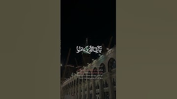 إن الله وملائكته يصلون على النبي | سورة الأحزاب القارئ عبدالله بن يحيى