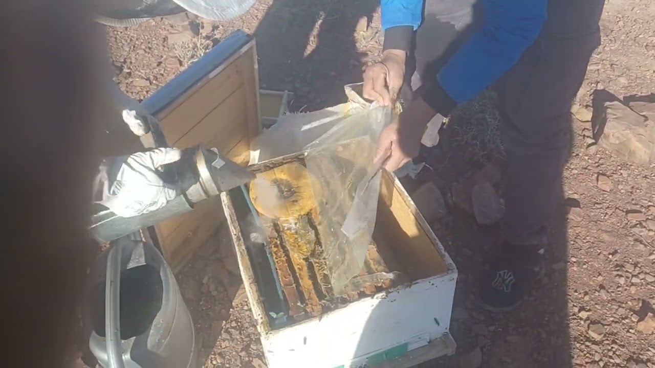 غنعطي الاساس الخلايا باش تبنيهم ما شاء الله تبارك الرحمن14-2-2026