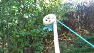 Removable ears on primitive angular self bow - Assyrian look