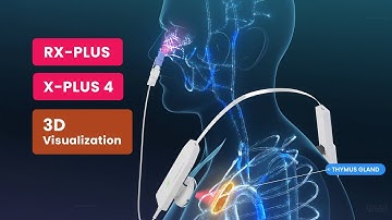 Vielight RX-Plus | 3D Visualization | Photobiomodulation for Immunity and Respiratory Viral Recovery
