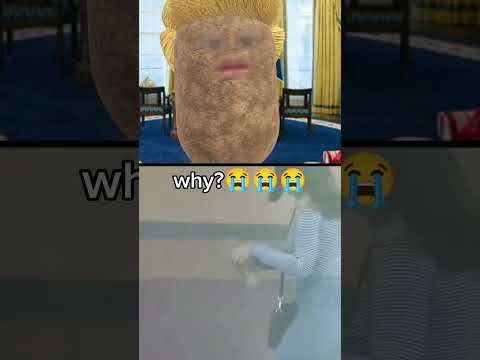 Sadma Shorts Sigma Gigachad Reaction Viral