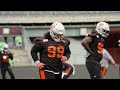 Roar Report: BC Lions Week 14 Game Preview at Montreal