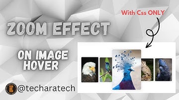 IMAGE ZOOM ON HOVER EFFECT| FULL TUTORIAL