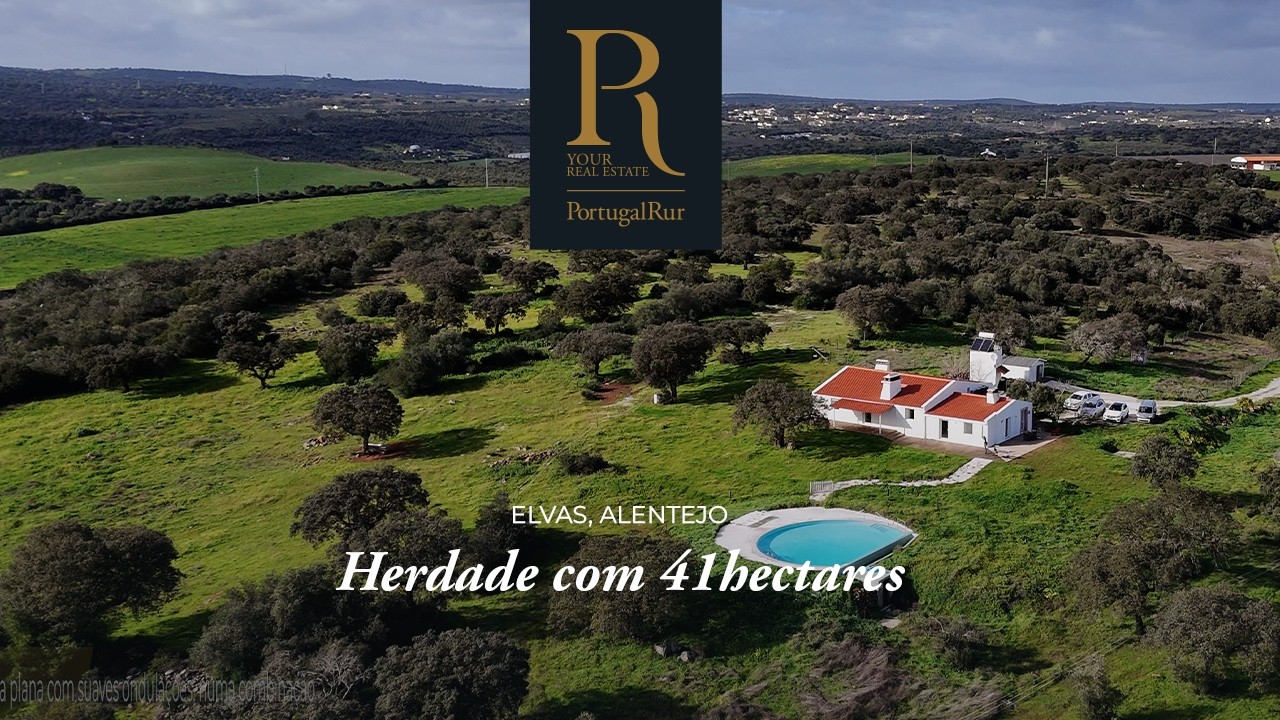 Herdade com 41hectares com Monte Alentejano T3 | REF. FG1025