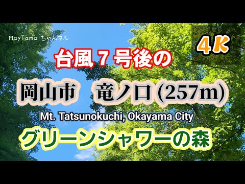 [A Walk In Green Forest] Tatsunokuchi　台風7号後の龍ノ口ハイキング