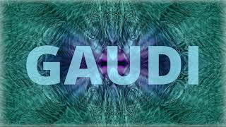 Gaudi - Crucial Data