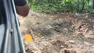 Brownsberg, Suriname