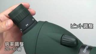 話題の撮影できる 60倍単眼鏡 望遠鏡 野鳥観察【動画】ブラケットつき