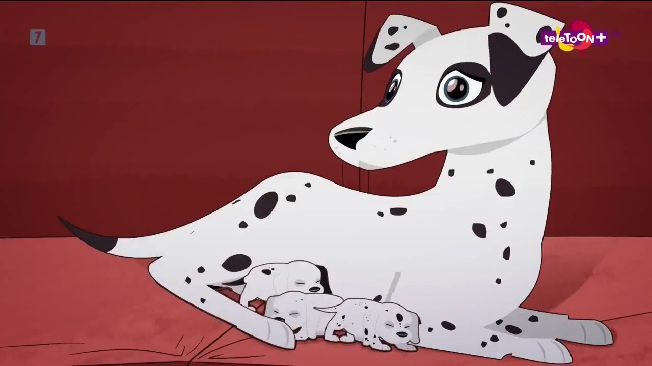 Petz Klub po polsku bajki🔥 petz club po polsku cảła bajka 1 godzina 💞petz klub cały film po polsku