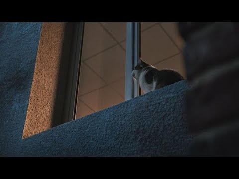 إ ن الل ه ل ا ي ح ب ال خ ائ ن ين