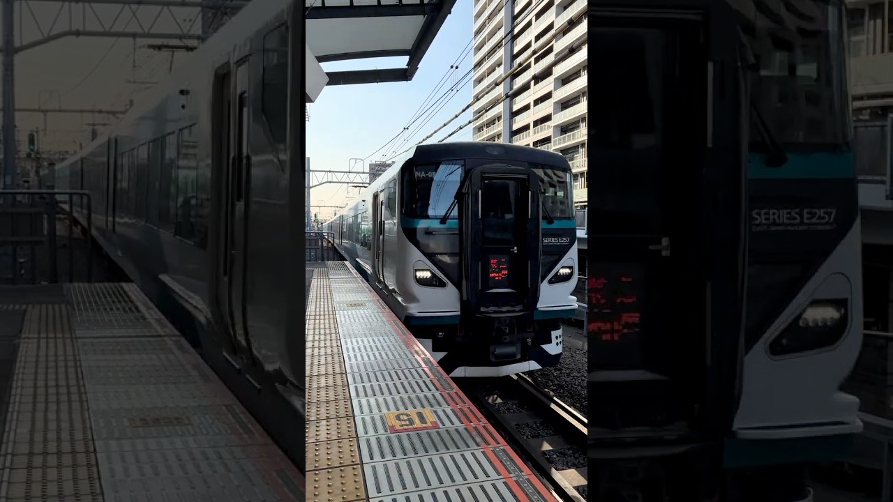 Japanese Express Train E257 Passing Musashi-Kosugi Station at Sunrise | Tokyo Commuter Train