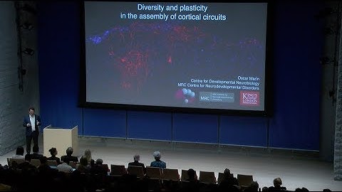 Mind Brain Behavior Symposium: Oscar Marín