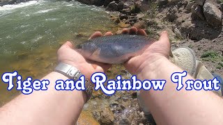 Fishing Otter Creek and Piute