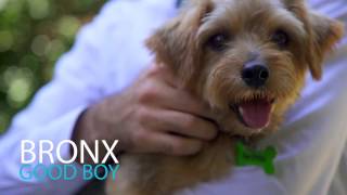 23/6 Edward Street, Baulkham Hills - with Alistair Agius from Harcourts Hills Living