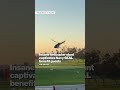 Insane Helicopter Stunt Captivates Navy SEAL Benefit Guests #shorts