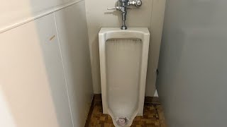 Costello's Ace Hardware of Warrenton Men’s Restroom full shoot