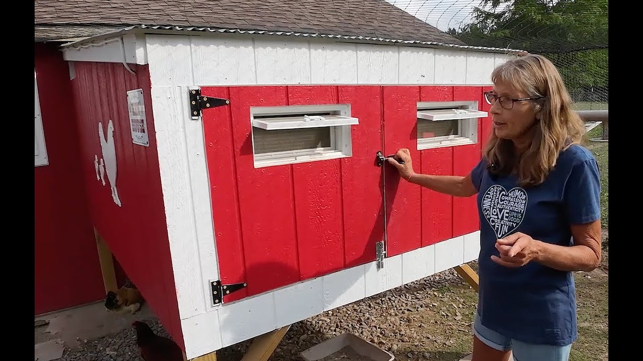 Chickencoop and Run Build YouTube