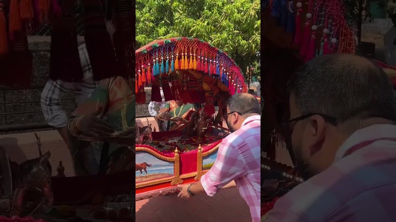 Shimga 2025, Morvane, Chiplun | Holi in Konkan @flyingturtleofficial