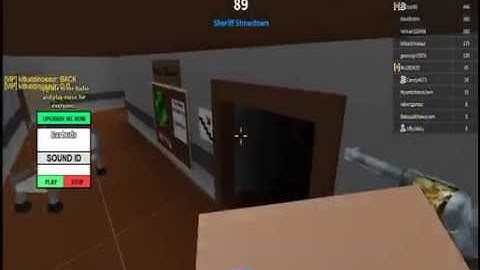 Roblox: Twisted Murderer hacker found.