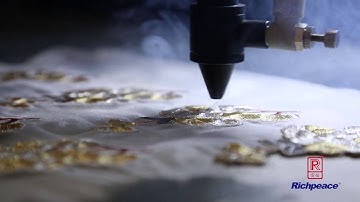 RICHPEACE CAMERA ORIENTED LOGO LASER CUTTING MACHINE