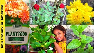 Gardening vlog | My small Balcony Garden & Terrace Garden | Maadi thottam tamil | tamil vlog