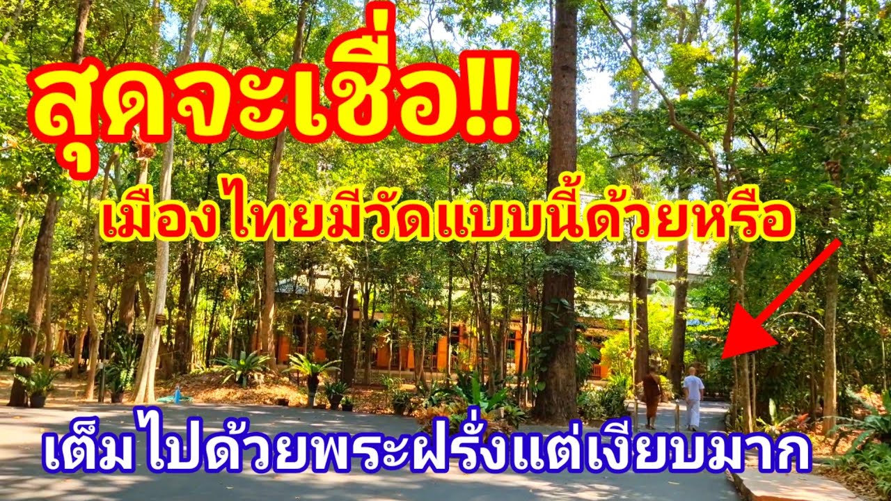 วัดป่านานาชาติ!! วัดที่เต็มไปด้วยพระฝรั่ง แต่อยู่แบบสงบเงียบจริงๆ เห็นแล้วใจฟูเลย#วัดป่า#พระสงฆ์ 