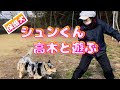 【心を閉ざした保護犬】シュンくん高木と遊んだ