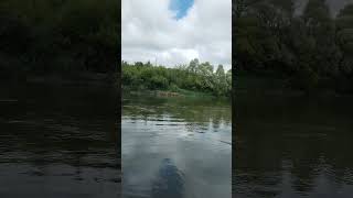 Ждем следующий Голавлиный сезон