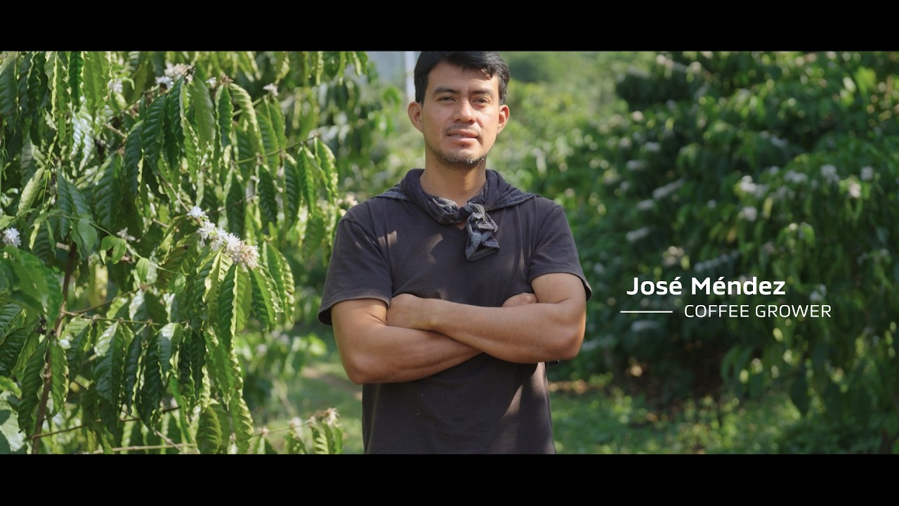 Plantlet For Tomorrow: How Climate-Resilient Coffee Plantlets Helps him triple His Harvest