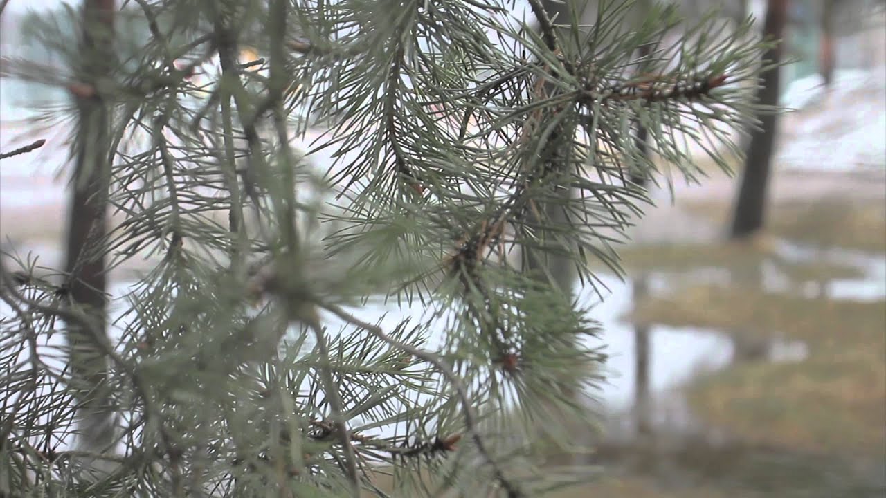 Taitaja2012: Läpi Jyväskylän Taitajiin